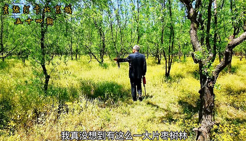 《白鹿個人資料父親：深度剖析公眾視野與私人空間的全解析》