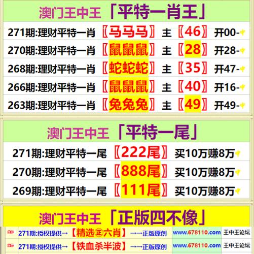 深度解析：王中王493333中特大全的價值與高效利用全攻略
